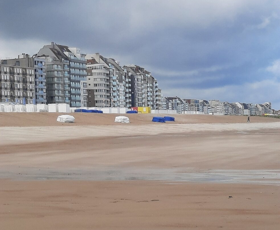 Strand Knokke景点图片