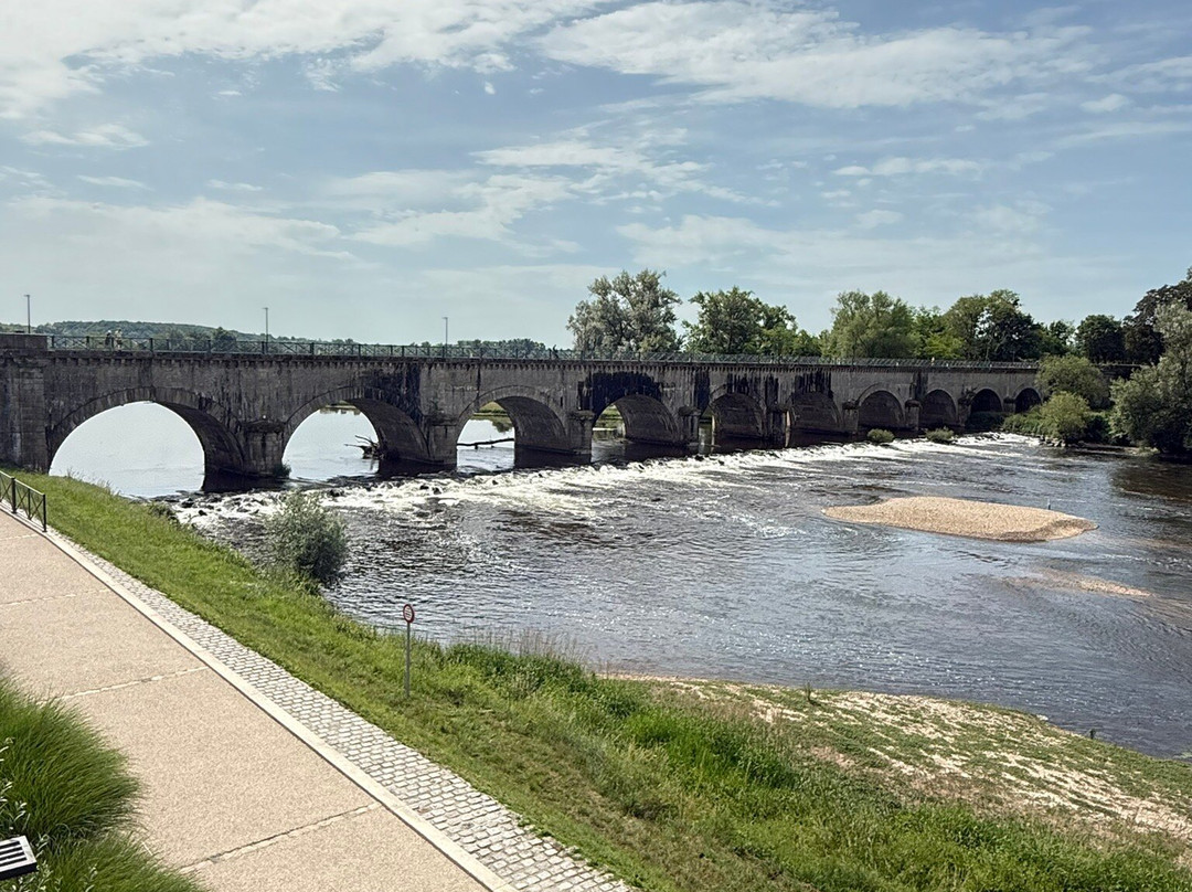 Pont acqueduc Digoin景点图片