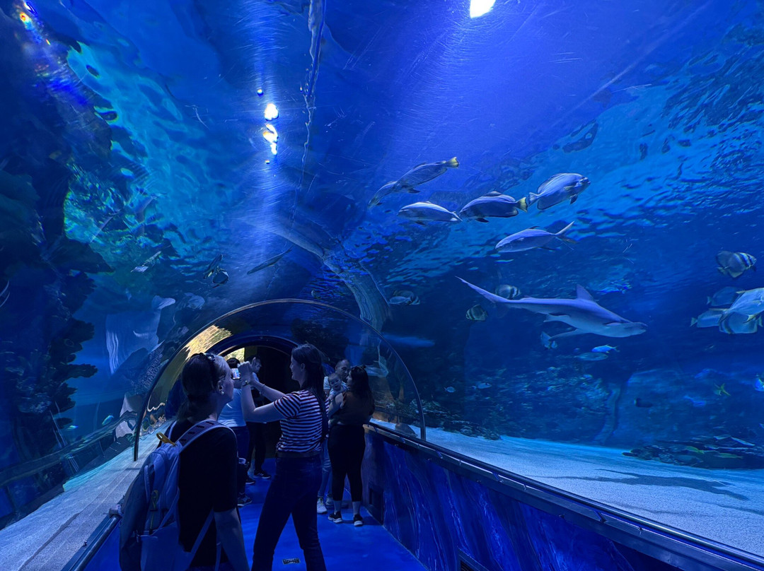 Tropicarium-Oceanárium景点图片