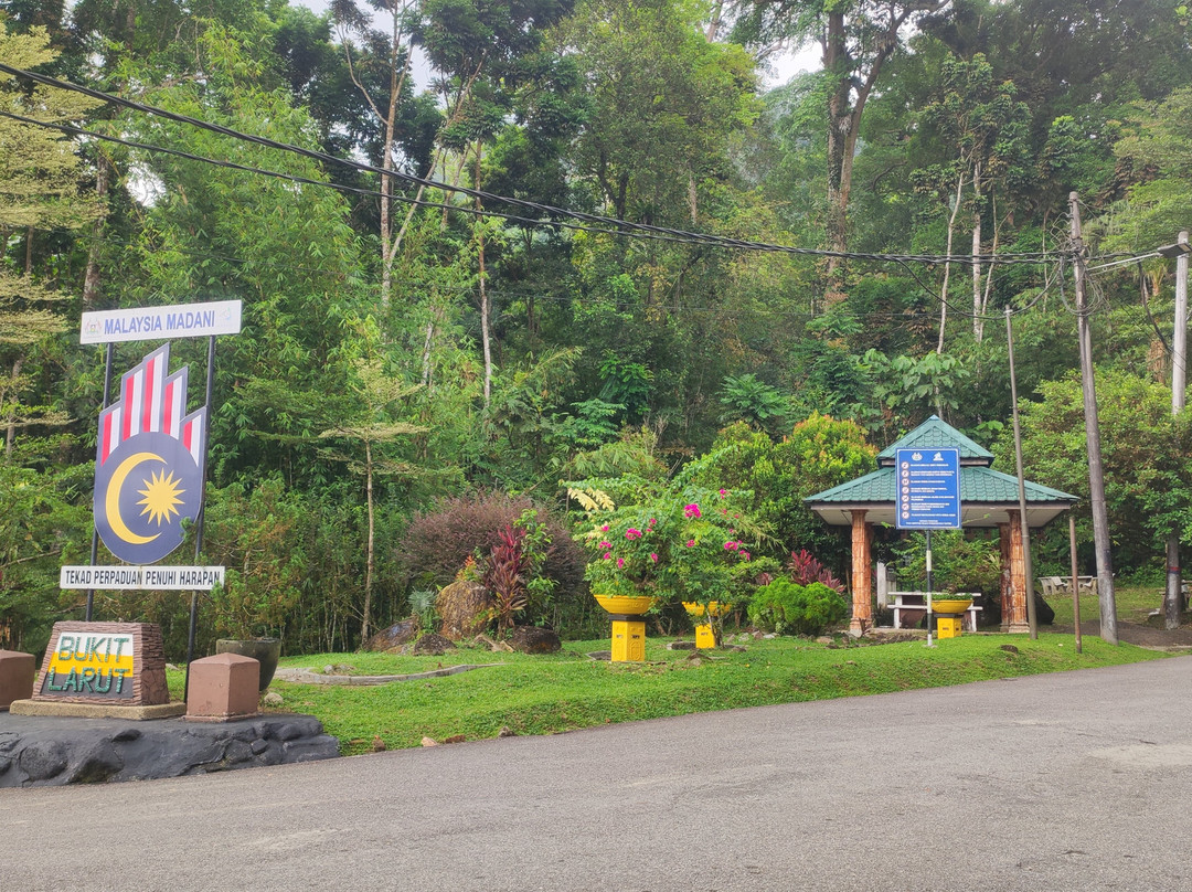 Bukit Larut景点图片