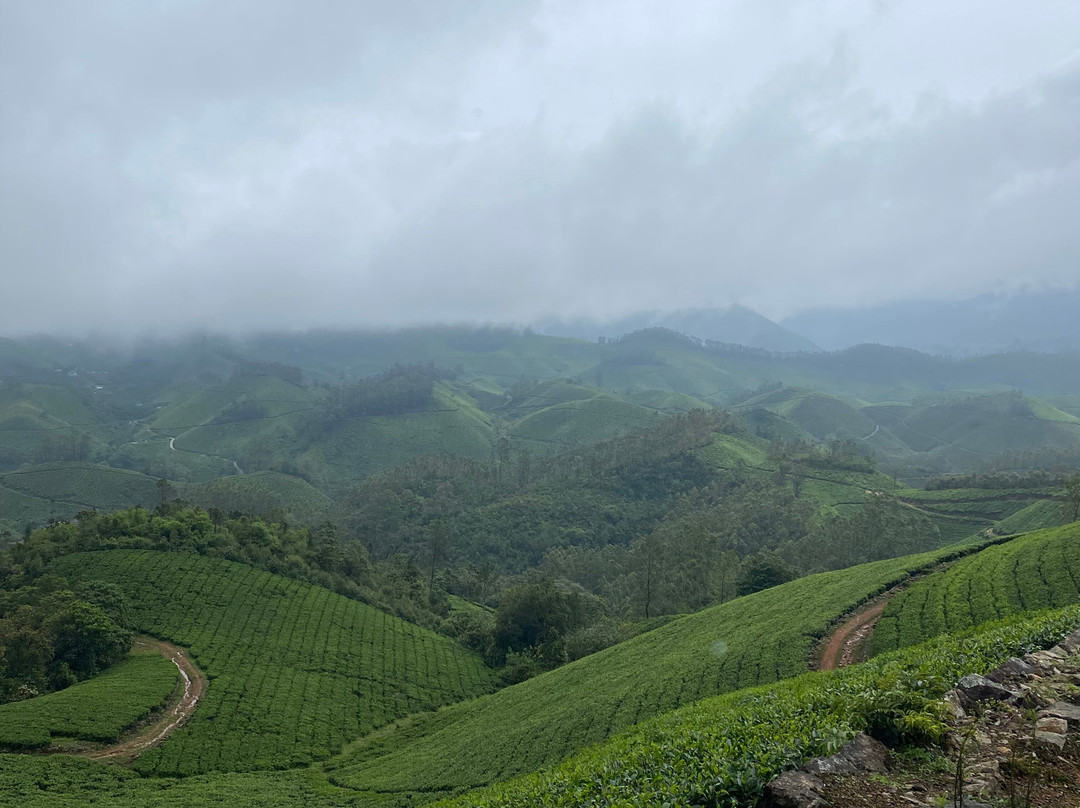 Munnar Hiking Trails景点图片