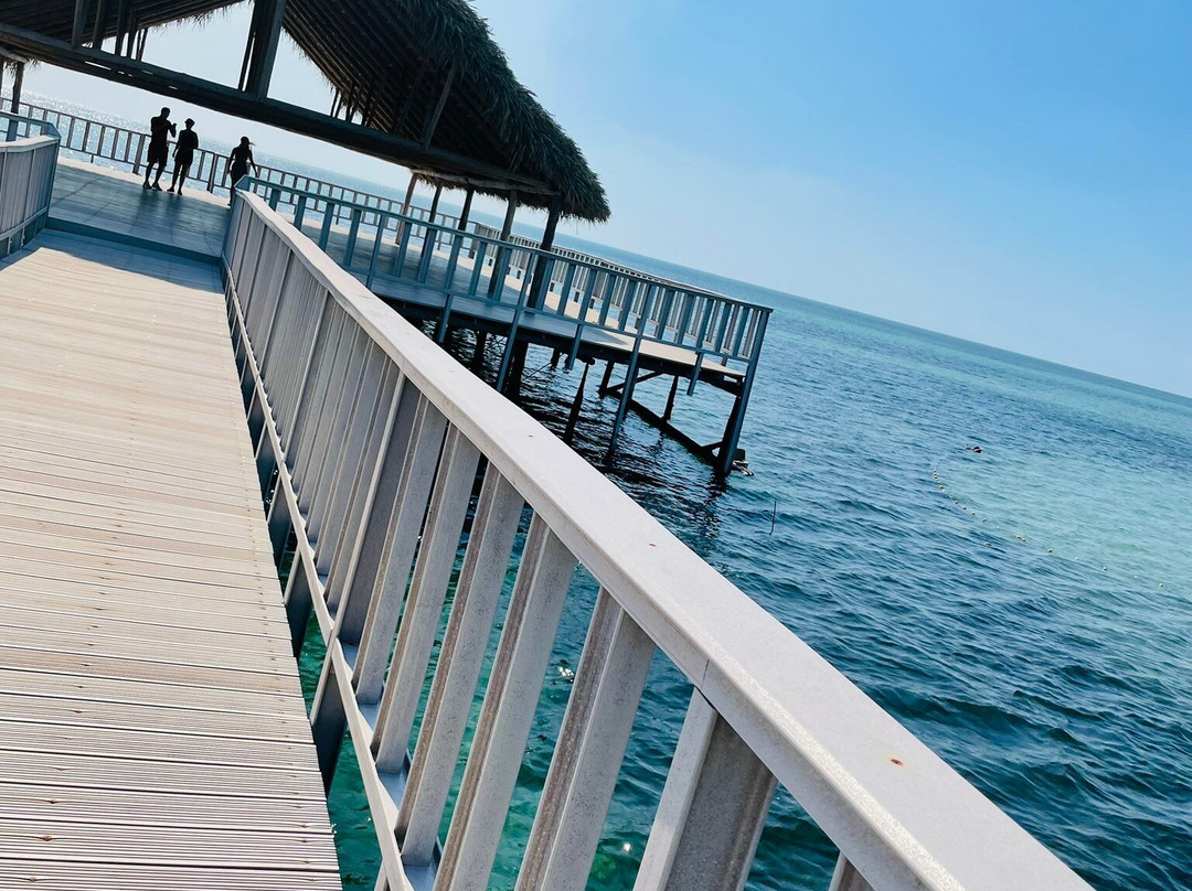 Hotel El Colony主图