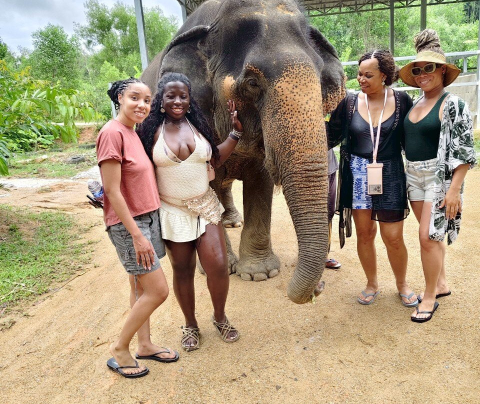 The Lake Phuket Elephant Home景点图片