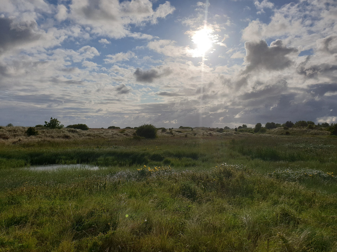 Gronant Beach景点图片
