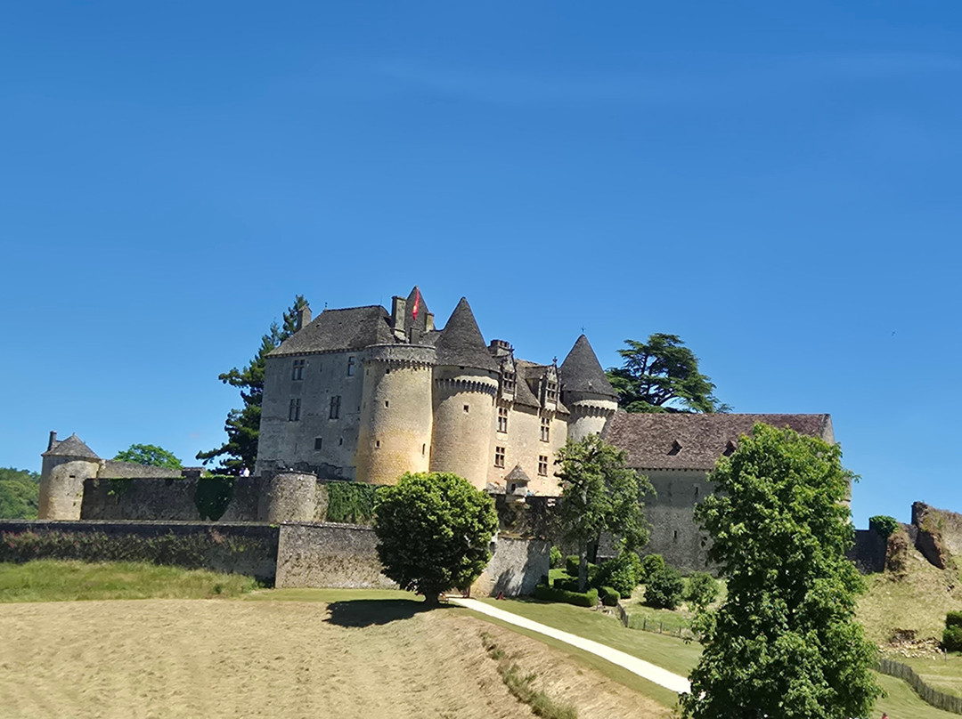 Le Chateau de Fenelon景点图片