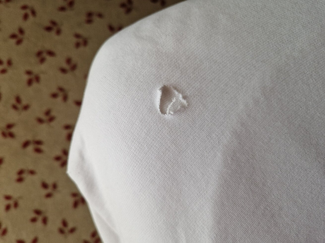 布肯维特天纳霍夫主图