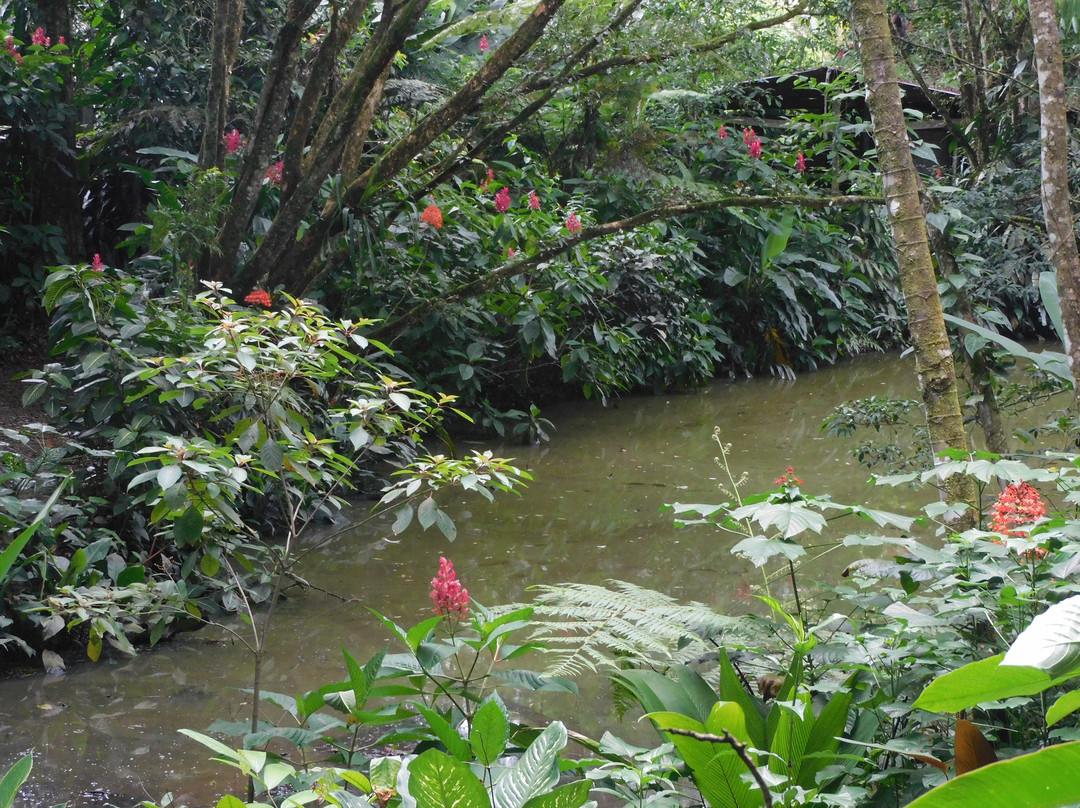 Ecogarden Arenal Family Project景点图片