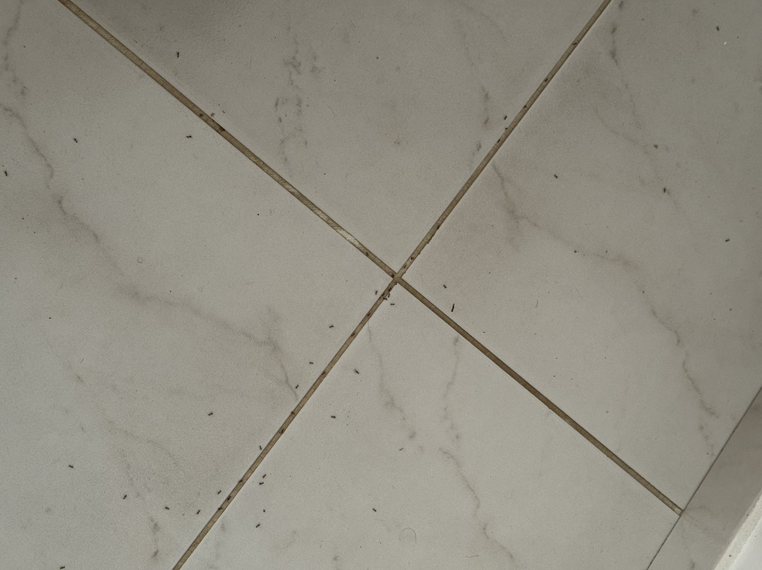 阿尔布费拉俱乐部阿尔加维公寓度假酒店主图