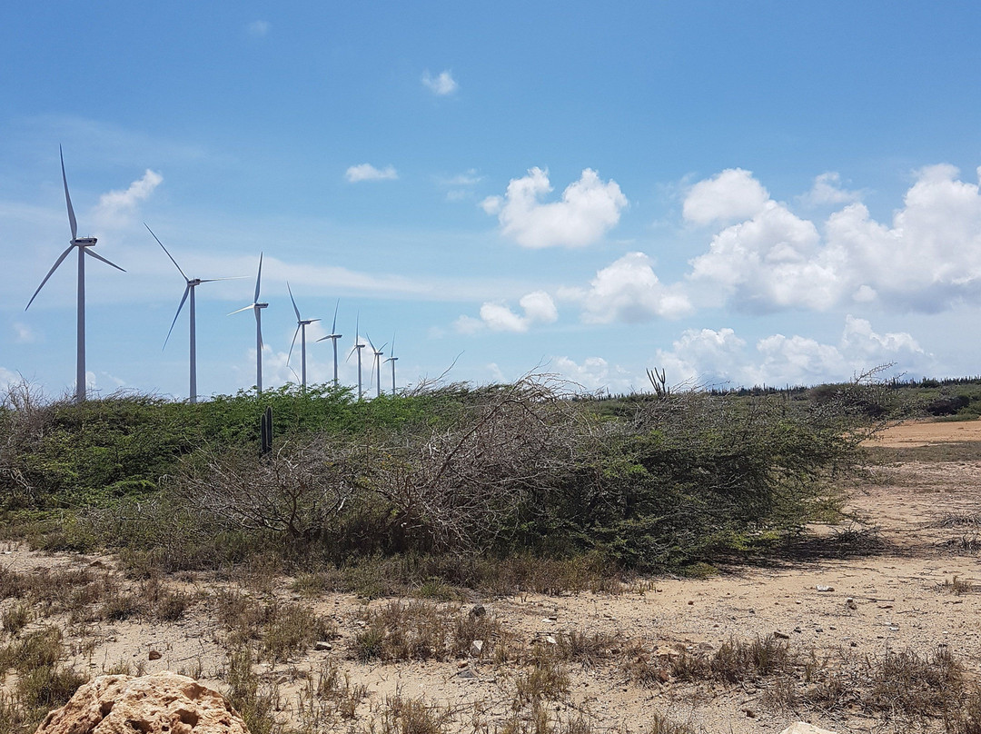 Vader Piet Wind Farm-Santa Cruz必去景点