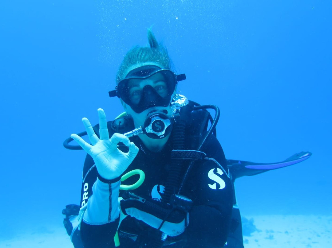 Dive In Sharm-沙姆沙伊赫必去景点