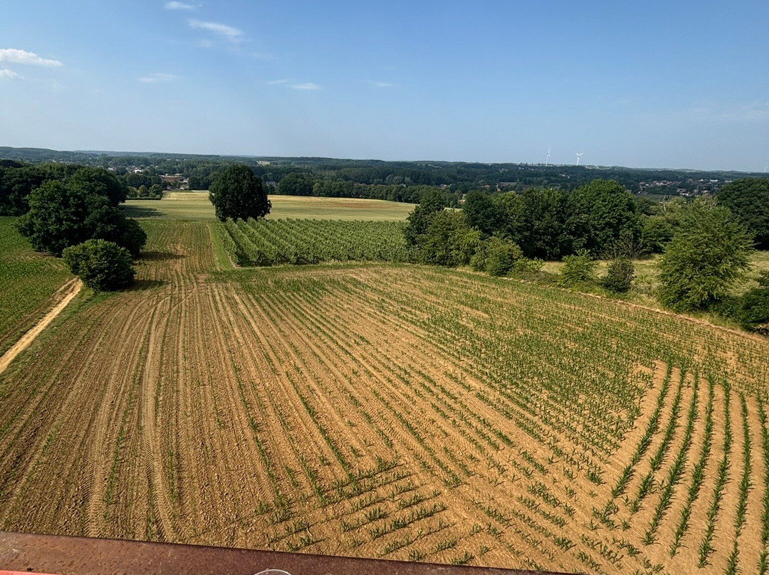 Wijnsafari in Hageland (Bekkevoort)景点图片