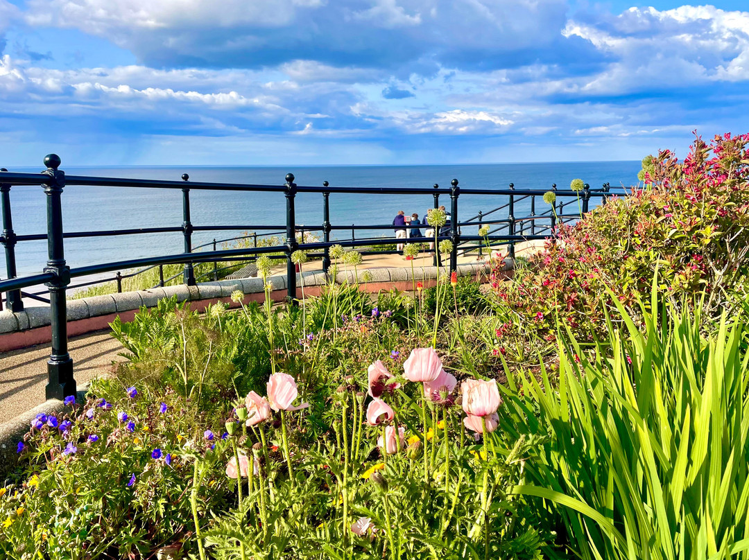 Saltburn Fossil Garden