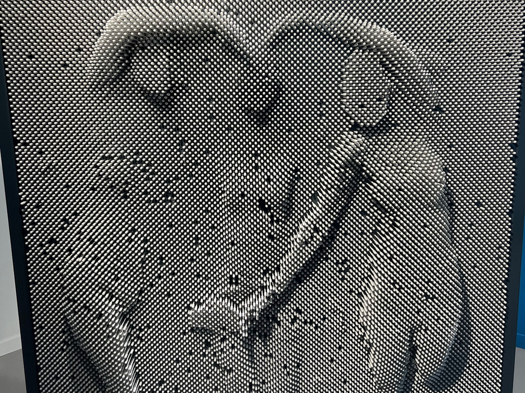 Museum Of Illusions Valencia-巴伦西亚必去景点