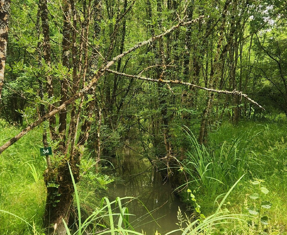 Réserve des Huttes-Nalliers必去景点