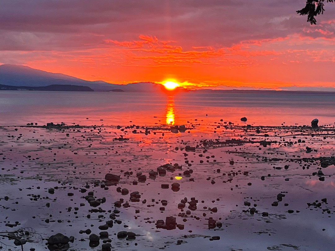 Fossil Beach Farm-Hornby Island必去景点