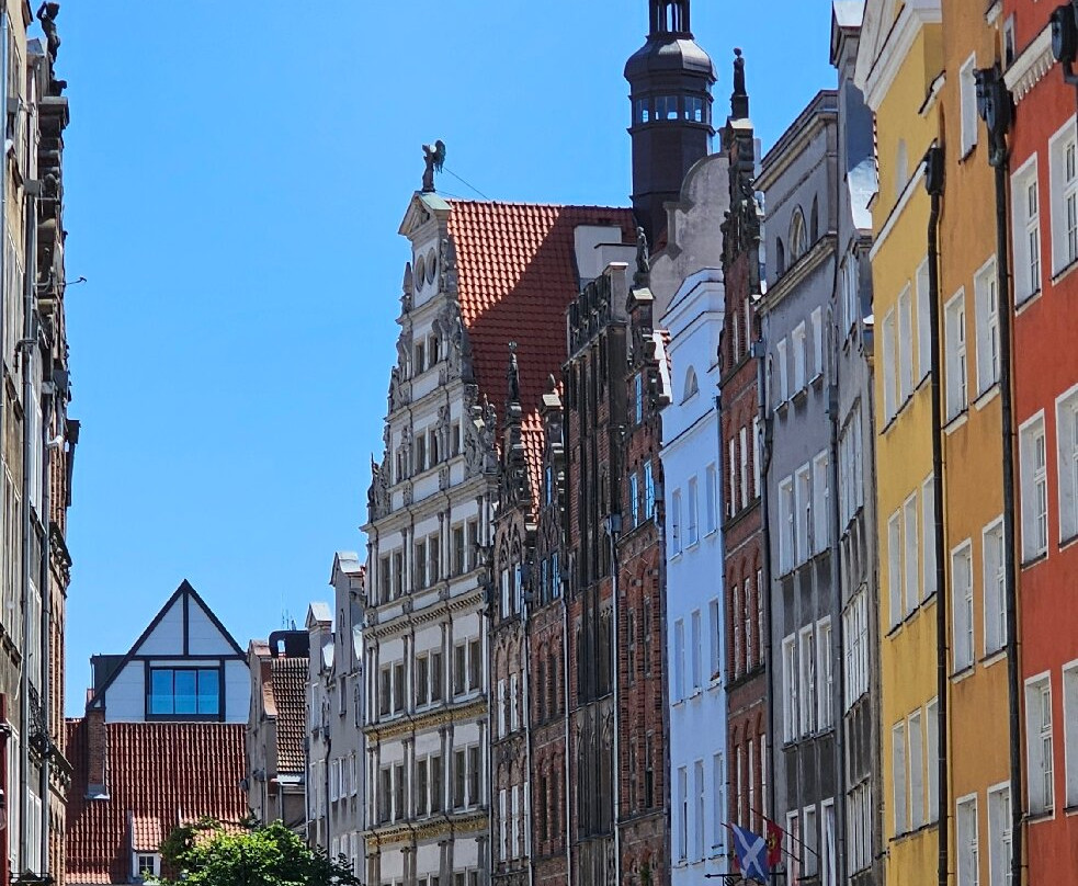 Michal Maj Tour Guide-格但斯克必去景点