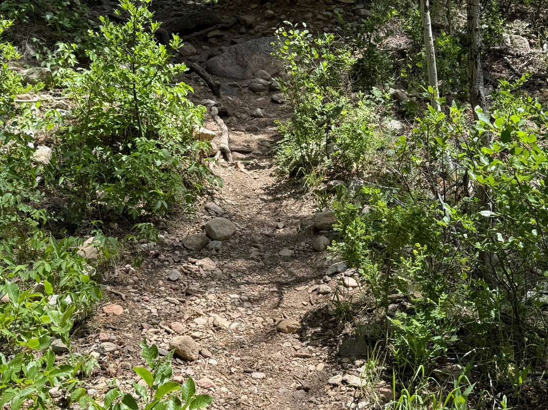 Clear Creek Trail-Cimarron必去景点