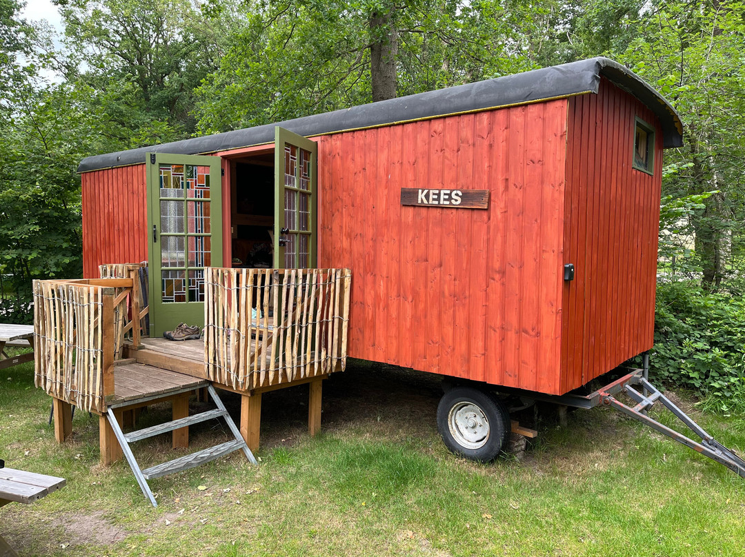 Boscamping Zwanemeer