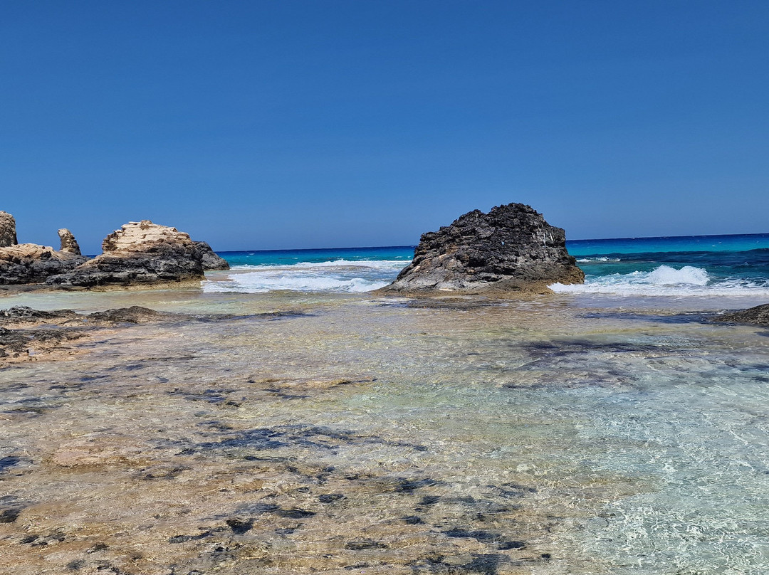 Adriatica Hotel主图