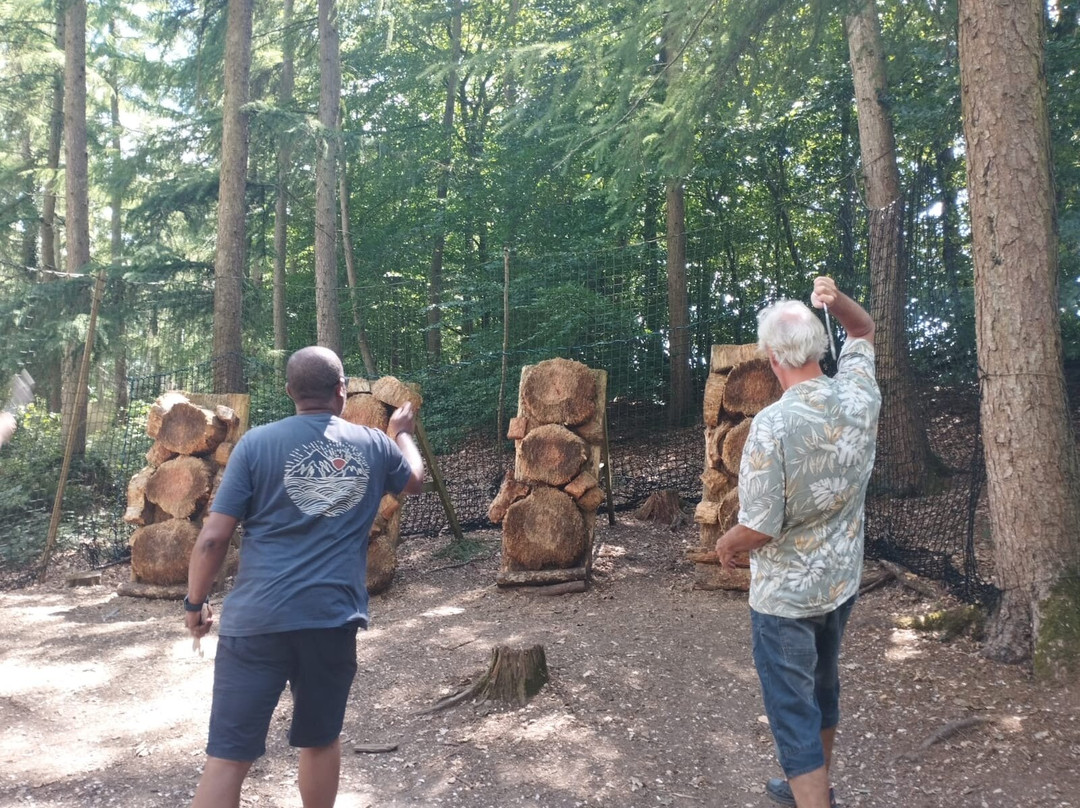 Insight Activities New Forest-Fordingbridge必去景点