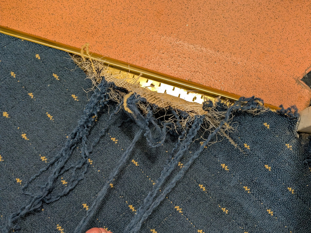 Cardigan Bay Guest House主图