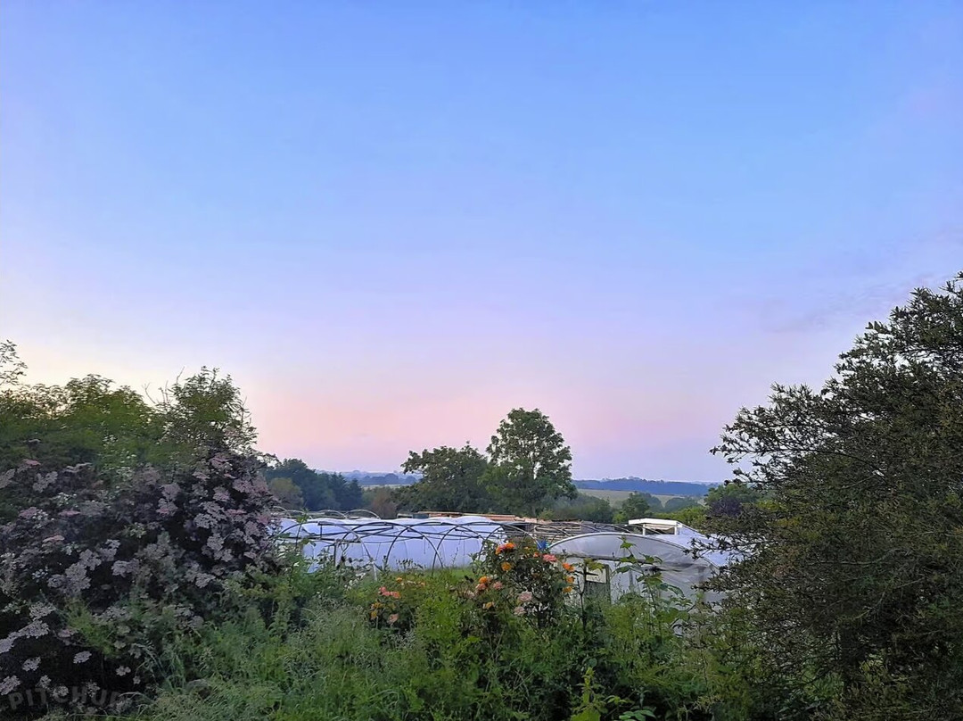 Trinity Farm Campsite