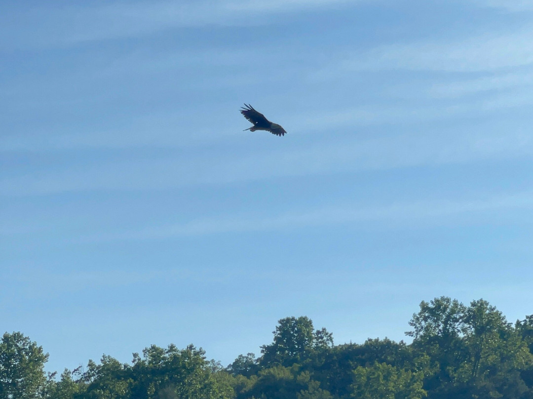 Connecticut Watersports-New Milford必去景点