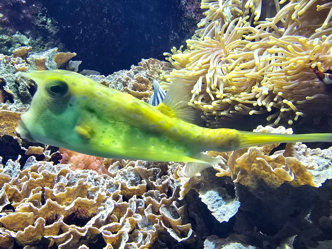 Aquarium de Lyon-La Mulatiere必去景点