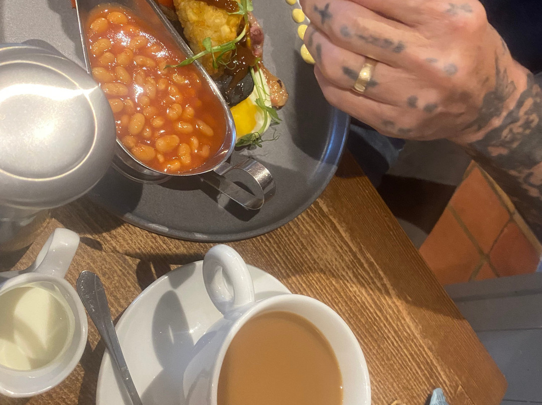 The Curious Fox主图