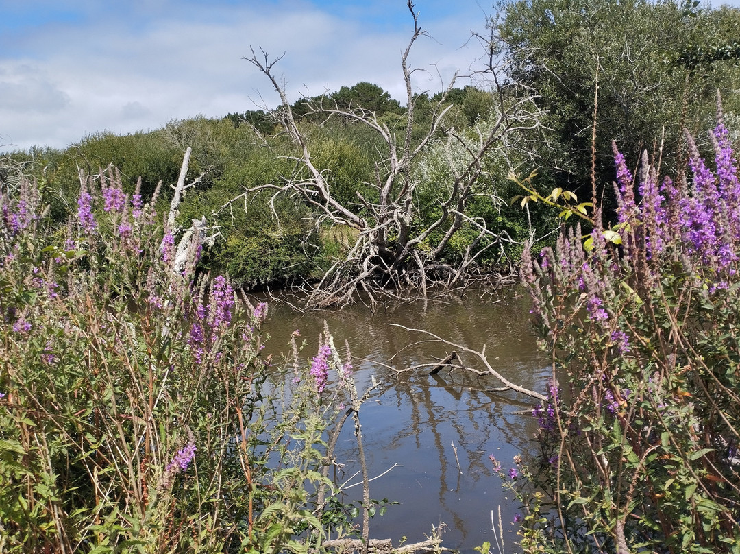 Le Vallon De Moulin Mer