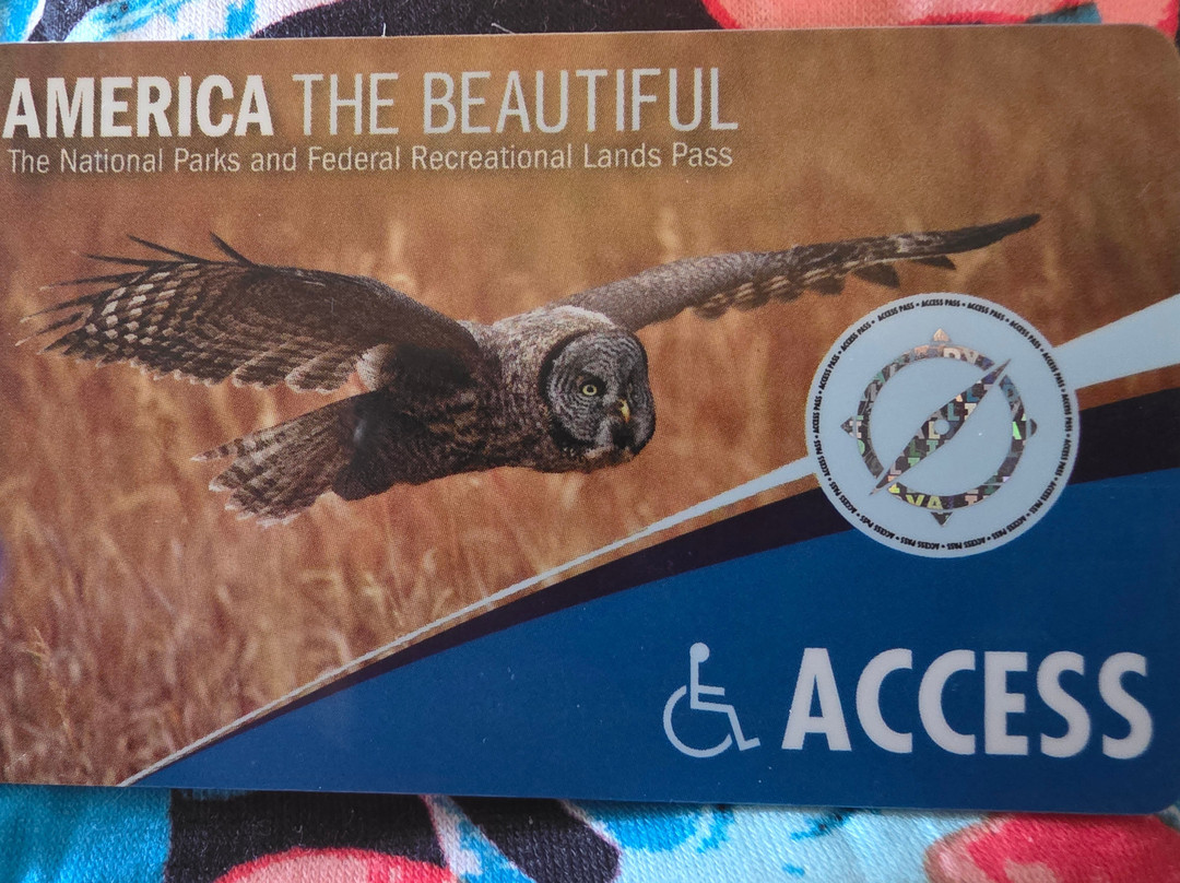 Salt Springs Recreation Area-Salt Springs必去景点