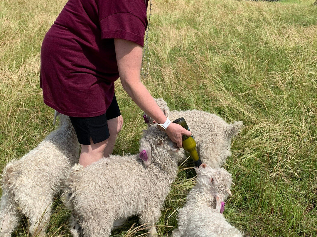 Currajong Retreat主图