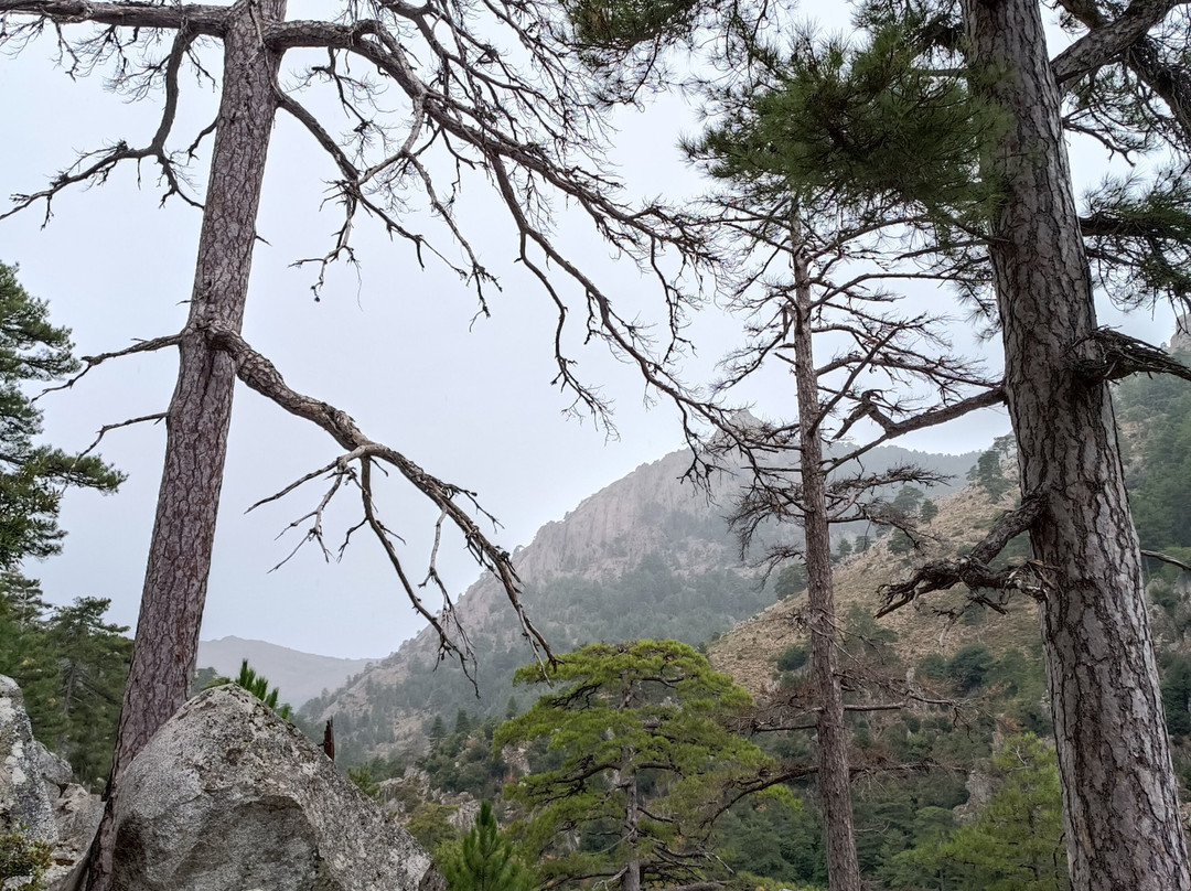 Inspire Alicante Wellbeing-Altea la Vella必去景点