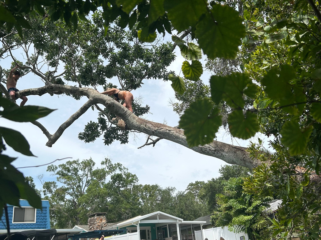 Weeki Wachee Kayaking-Weeki Wachee必去景点