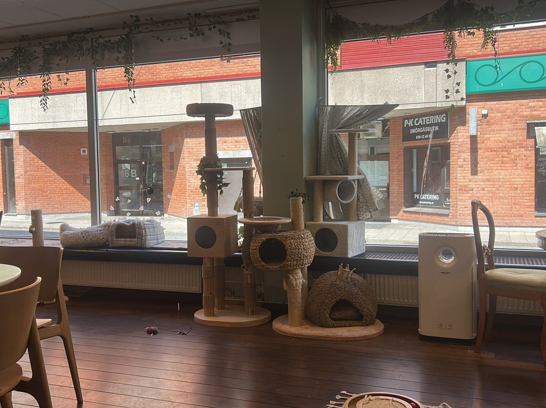 Finduzz CatCafe-延雪平必去景点