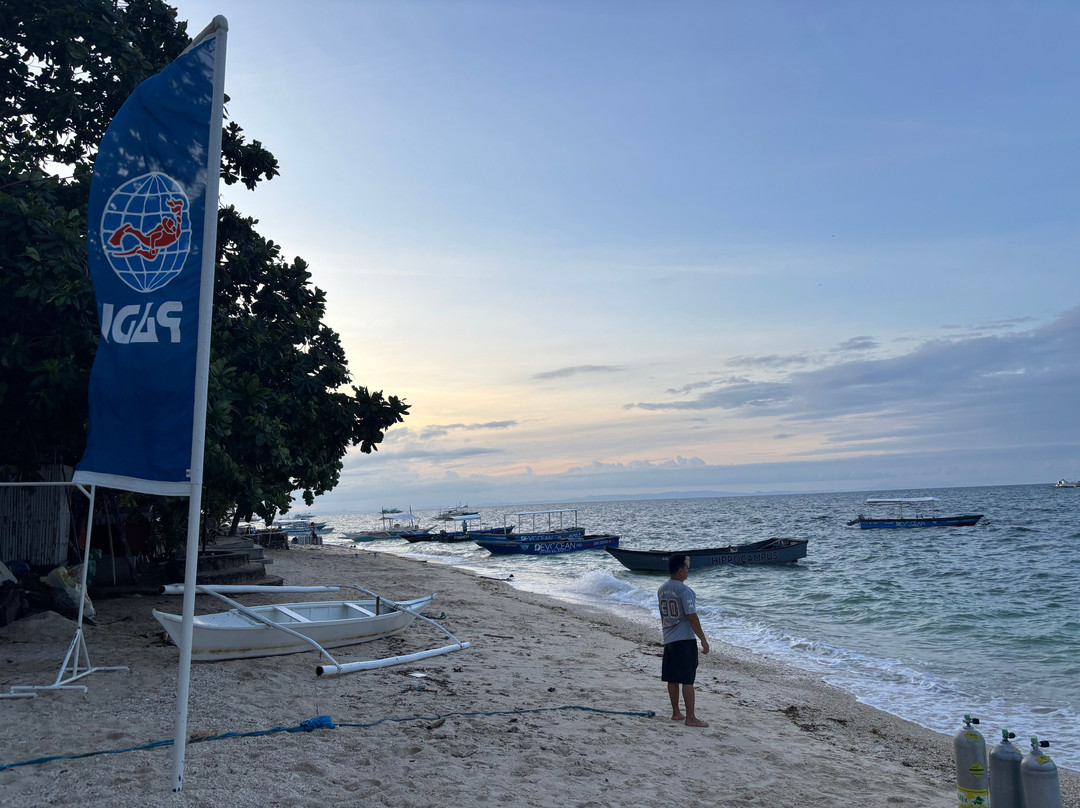 Sea Explorers Malapascua-妈妈拍丝瓜岛必去景点