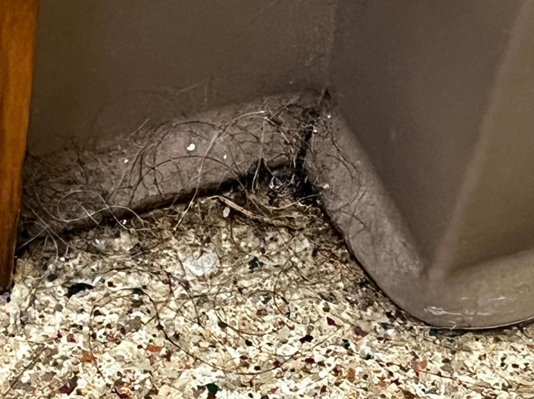 Fairbanks Princess Riverside Lodge主图