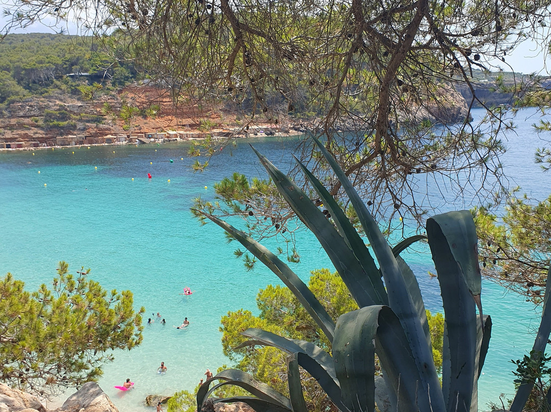 Playa Cala Salada-圣安东尼德波特曼尼必去景点