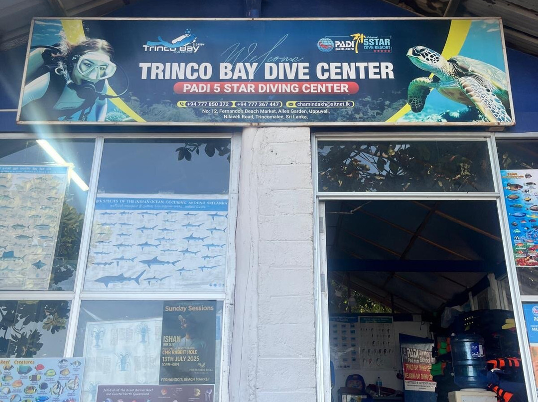 Trinco Bay Dive Center-Trincomalee必去景点
