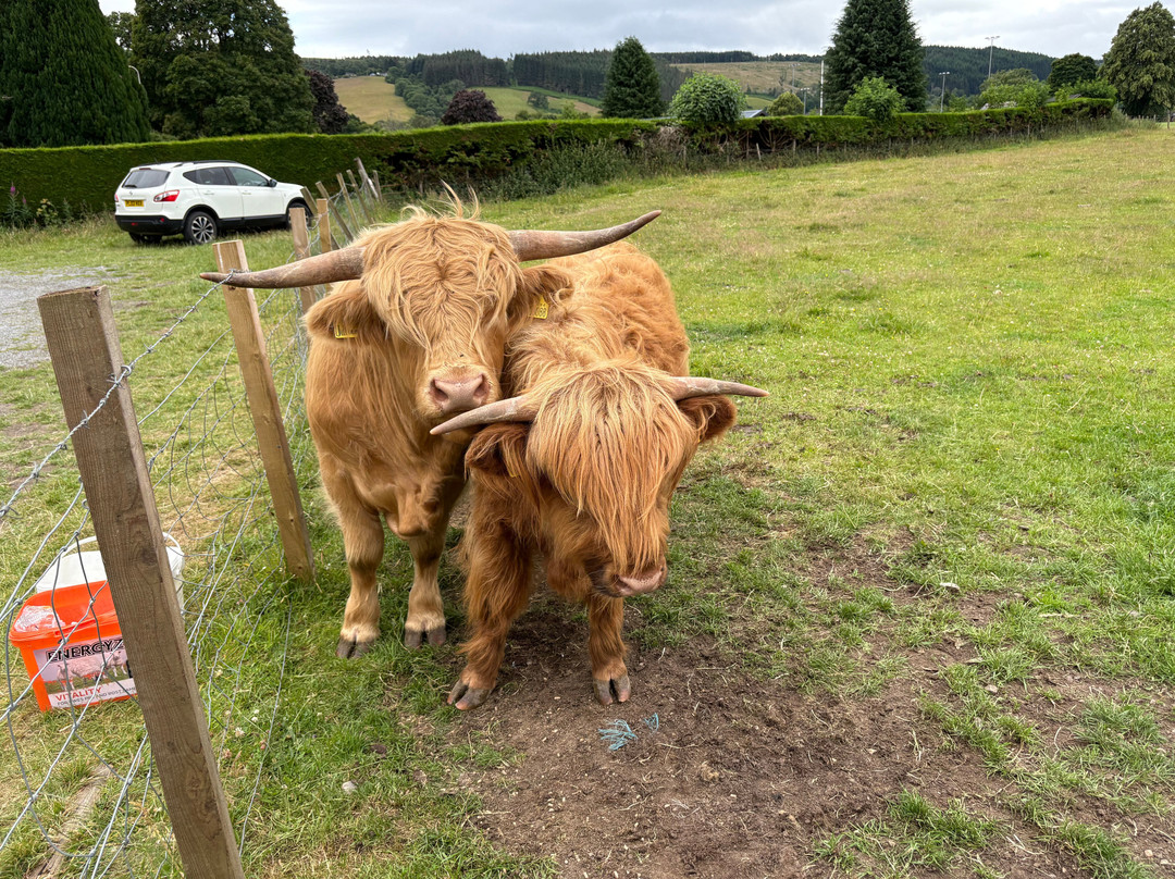 Inverness Custom  Tours-因弗内斯必去景点