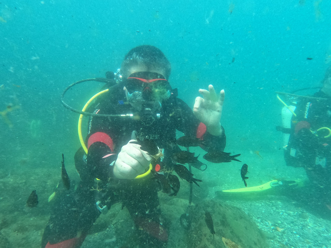 Sub Diving-索佐波尔必去景点