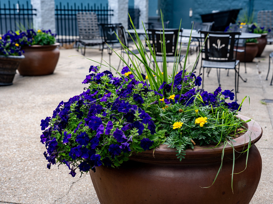 Best Western Plus Midwest Inn主图