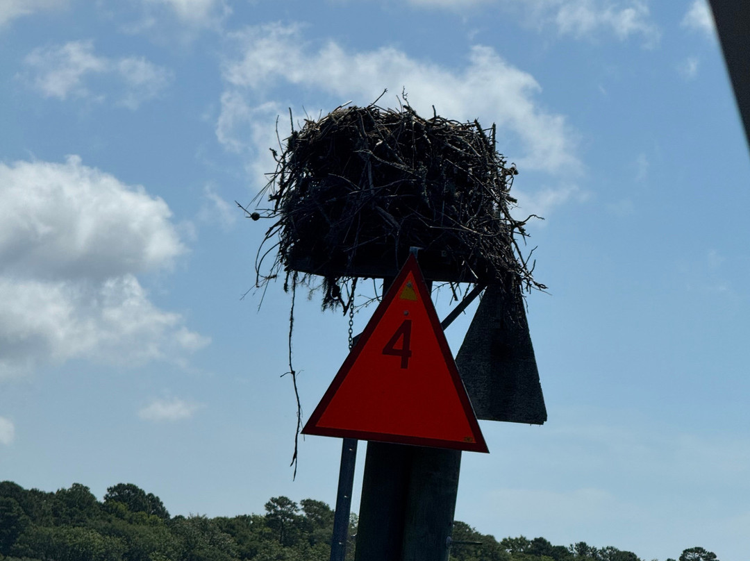 TourH2O-Holden Beach必去景点