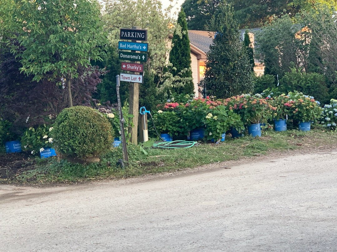 Bad Martha Farmer's Brewery-Edgartown必去景点