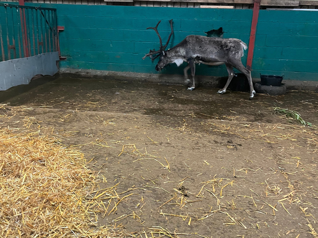 Farmer Teds Adventure Farm-Ormskirk必去景点