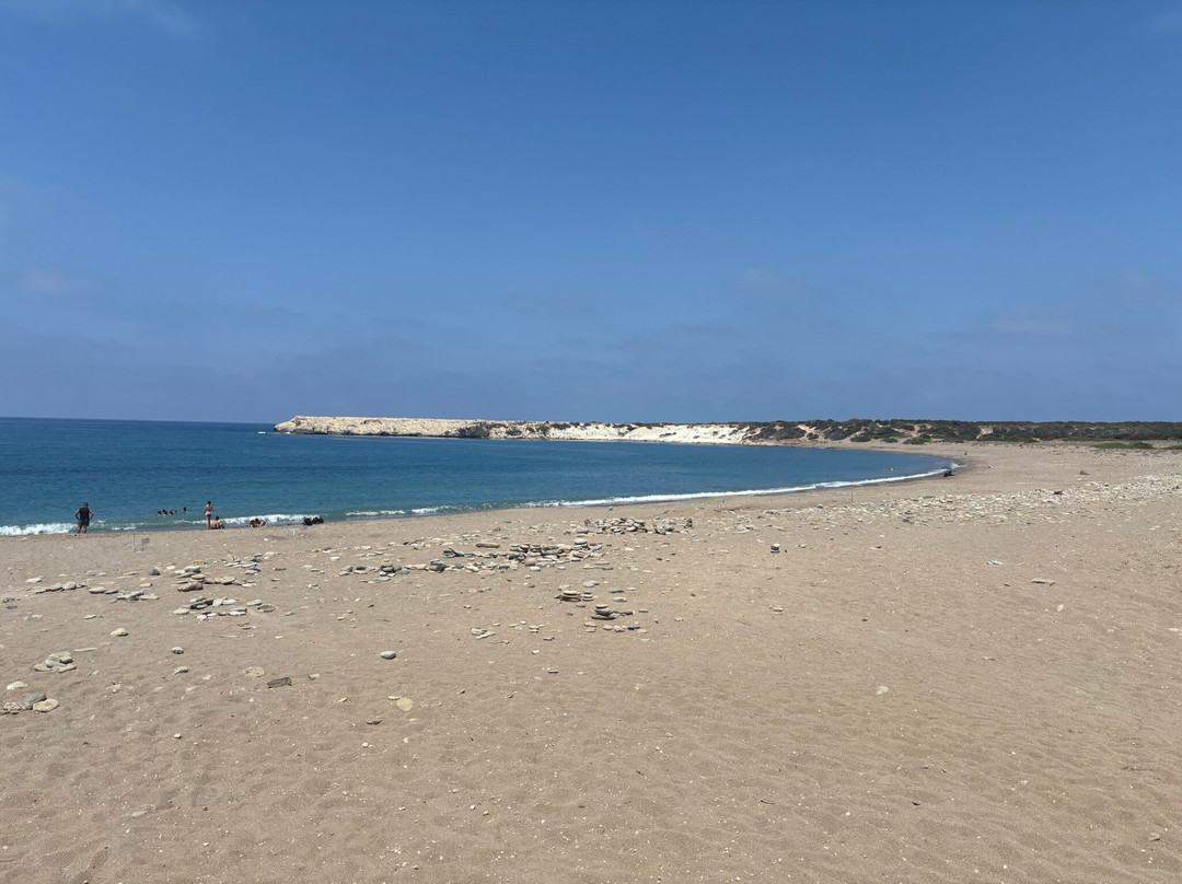 Lara Bay Turtle Conservation Station-帕福斯必去景点