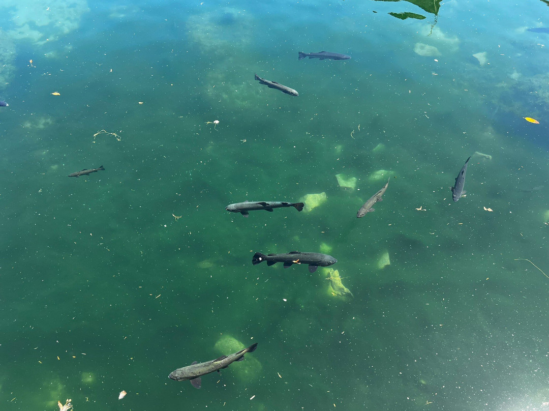 La Peschiera-Santa Fiora必去景点