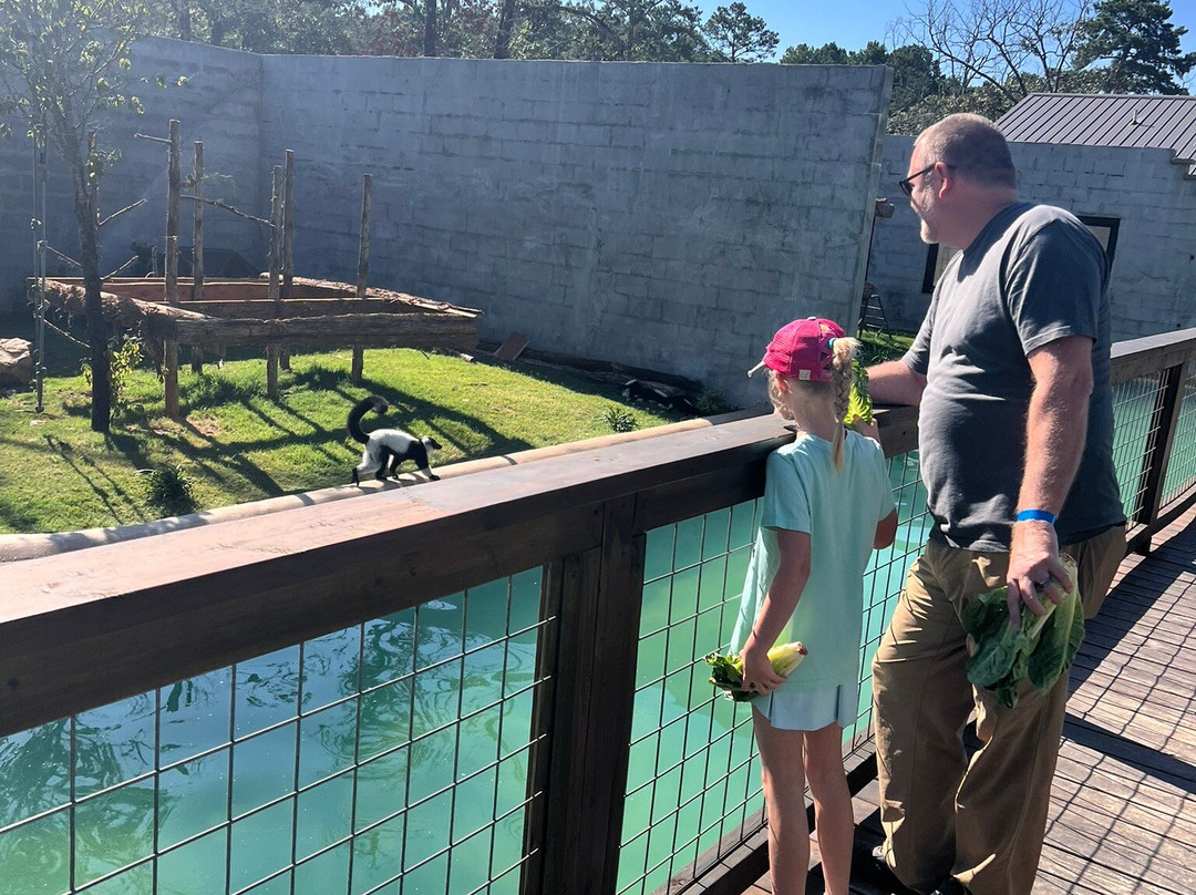 Beavers Bend Safari Park-Hochatown必去景点