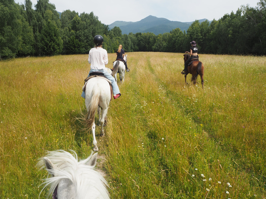 Ranc Aljaska-Turany必去景点