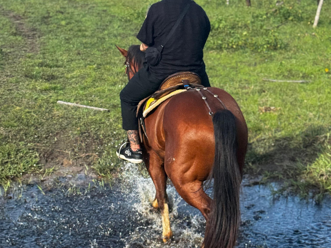 Evertontour-Piacabucu必去景点